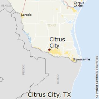 Mold Inspection Citrus City Texas